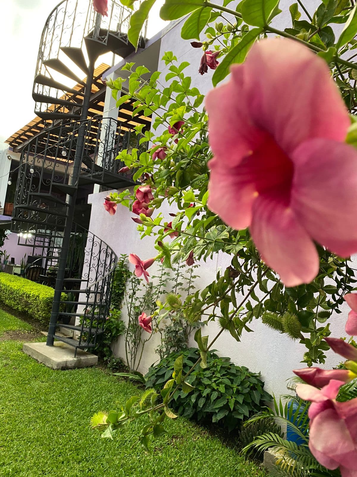 Jardín