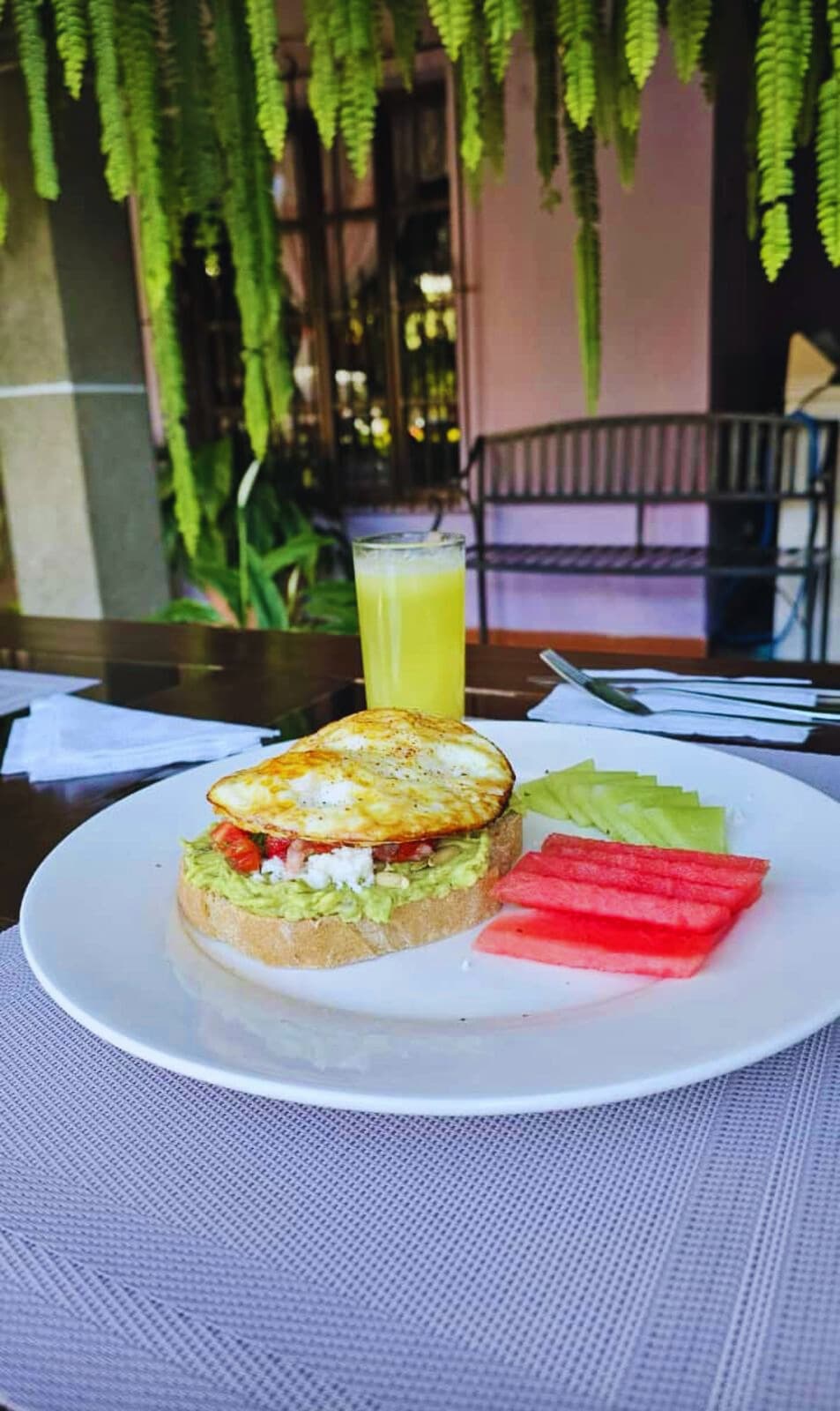 Pan tostado con aguacate